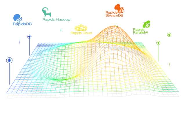 Rapids Data Image